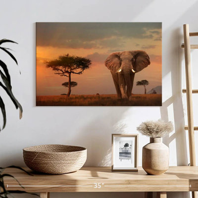 Brampt Giant Male Elephant