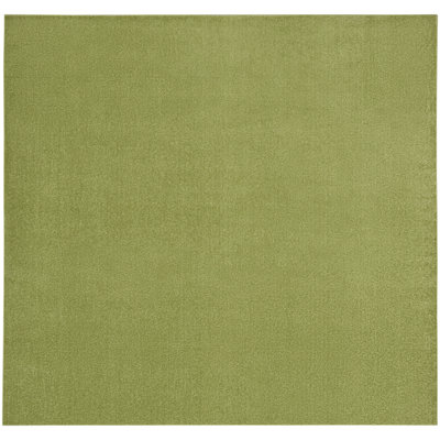 Yitsel Indoor / Outdoor Rug