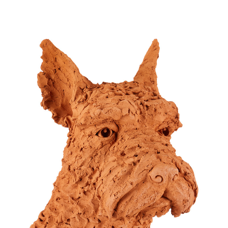 Oscar The Scottish Terrier