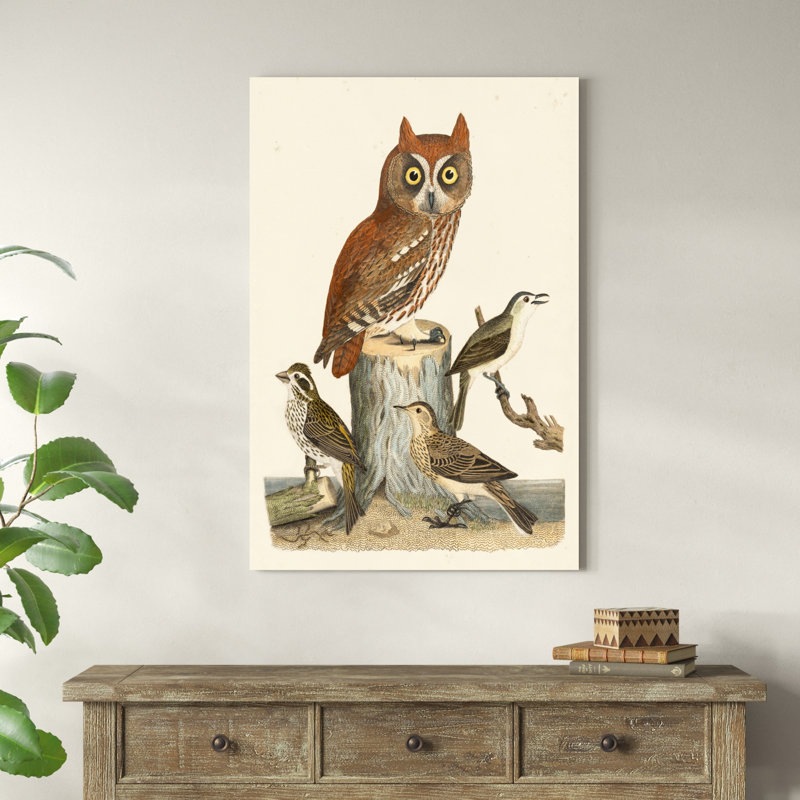 Wilson Owls II, H 48 po x l 32 po x P 1 po