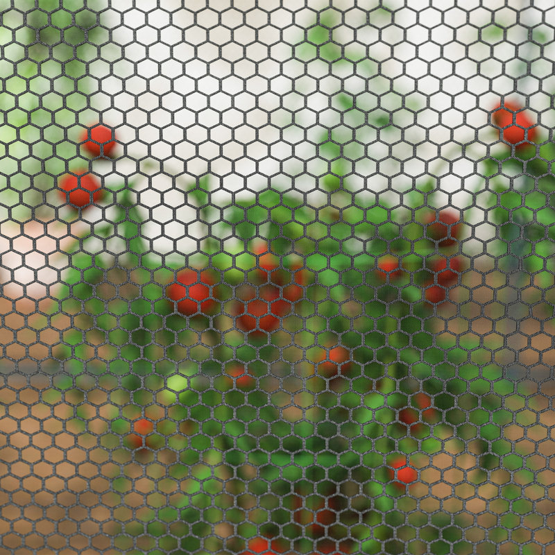 Tente de protection des plantes, cage de culture avec deux portes à fermeture à glissière, sac de rangement et piquets de sol, pour jardin, cour, pelouse