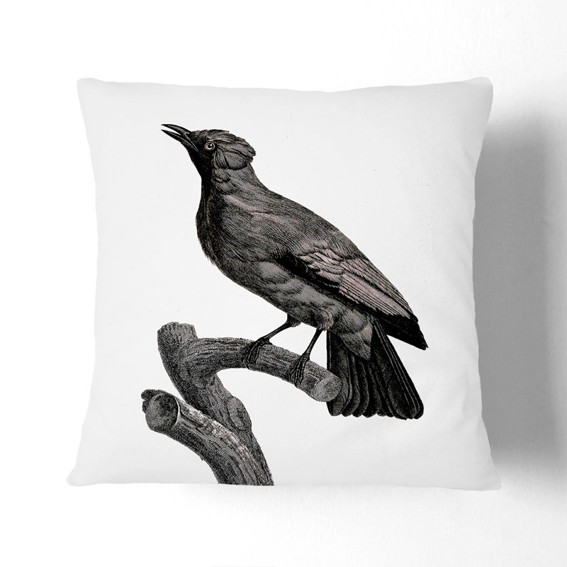 Square Throw Cushion, Black, 40cm H x 40cm W x 15cm D