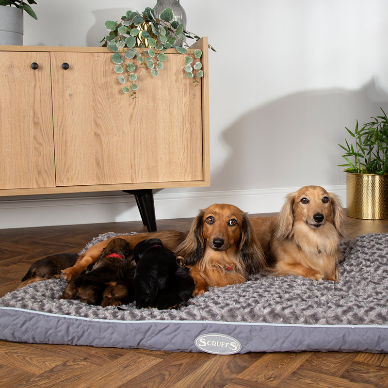Wilton Polyester Pet Bed
