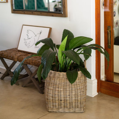 Panier en rotin Basketly