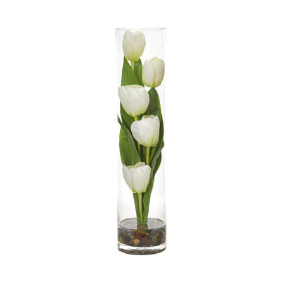18 po, sonate tulipe blanche