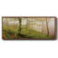 Printemps ou - reproduction de cadre flottant sur toile-1685707671-1685707662