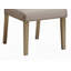 Ensemble de 2 chaises d'appoint en tissu champagne Dianne