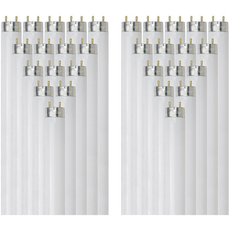 15 Watt T12 G13/Bi-pin Fluorescent Bulb