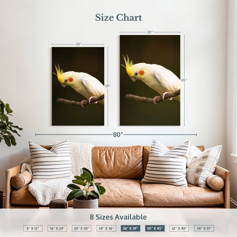 Cockatiel Rosy Cheeked, H 39 po x l 26 po
