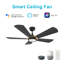Ventilateur de plafond intelligent Winston avec télécommande, ensemble d'éclairage inclus, fonctionne avec l'assistant Google, Amazon Alexa et les raccourcis Siri.-253267815-253267832-253267813