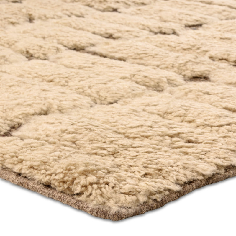 Jaipur Living Michael Habachy Dunes GAM04 Handmade Contemporary Brown (8'x10'), Rectangle 8' x 10'