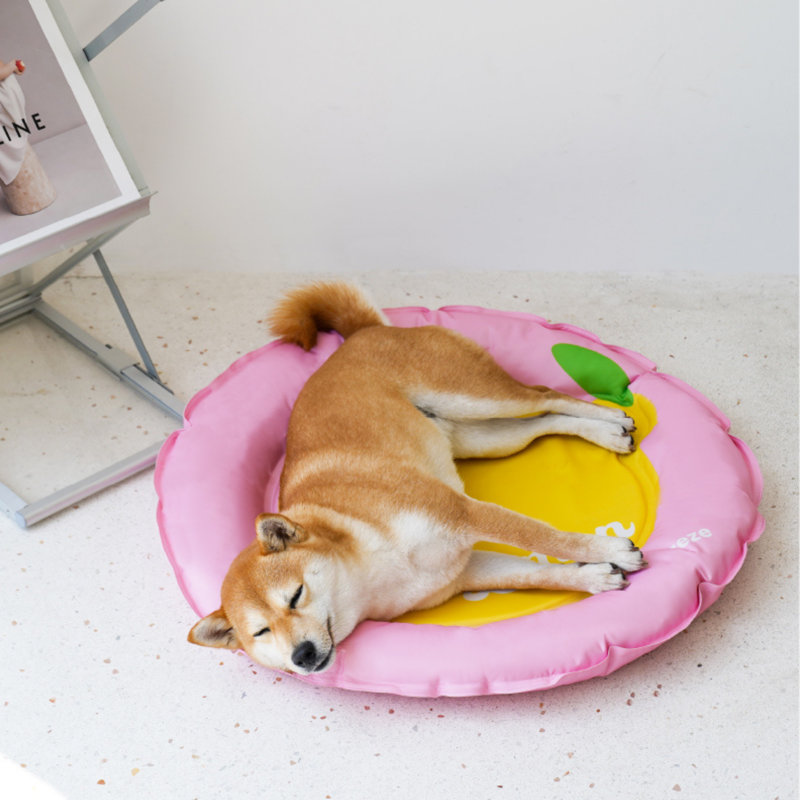 Lemon Cooling Dog Bed