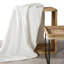 Aaima Canora Grey Blanket-17178853-17178783