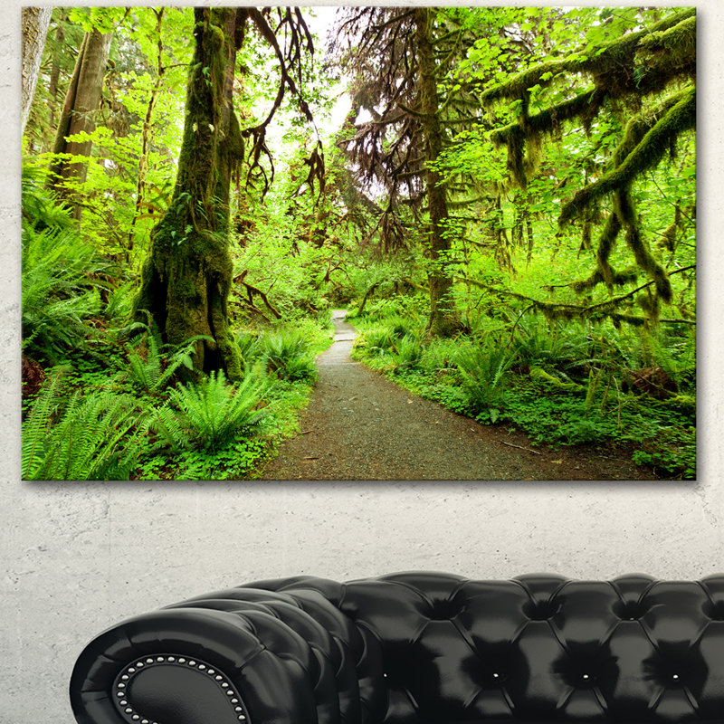 "Sentier dans la forêt tropicale", reproduction de photo sur toile tendue, H 16 po x l 32 po