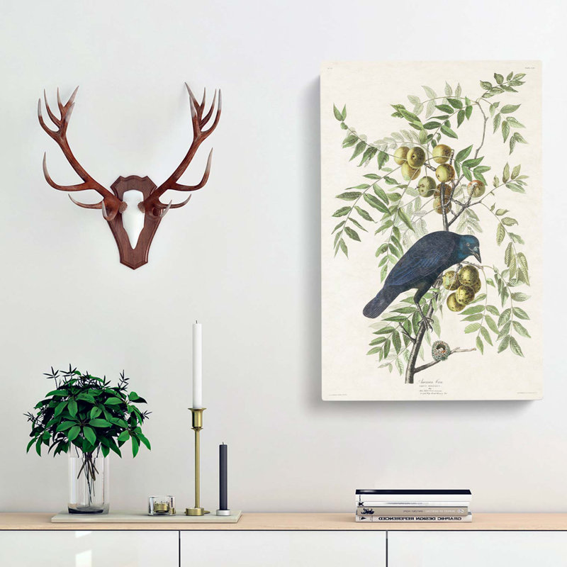 American Crow by John Audubon - Wrapped Canvas Painting, 50cm H x 35cm W x 3cm D