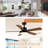 Thar 44'' Ceiling Fan with LED Lights