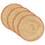 4 Piece Placemat Set