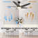 Alcie 5 - Blade LED Smart Standard Ceiling Fan with Remote Control and Light Kit Included