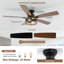Ventilateur de plafond réversible 52 pouces à 5 pales avec ensemble d'éclairage et télécommande Boho