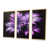 Toile naturelle avec cadre flottant