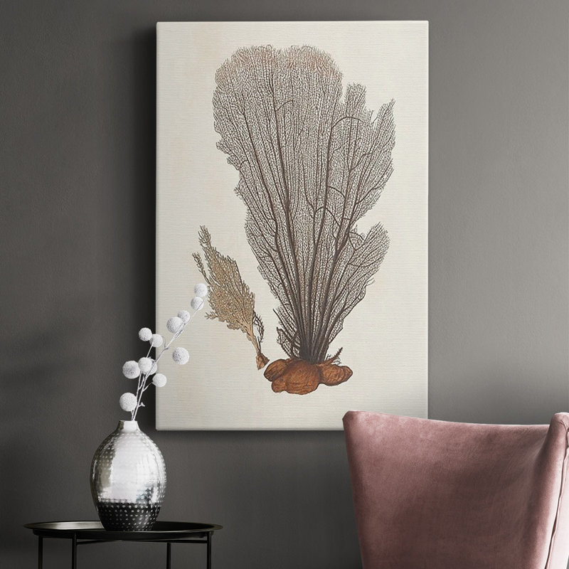 Toile tendue Knorr Shells & Coral III, H 60 po x l 40 po x P 1 po