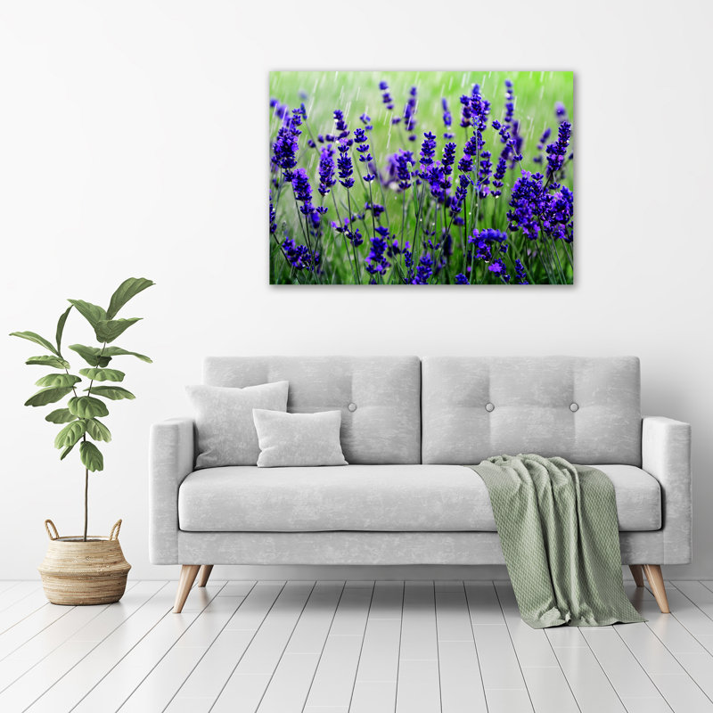 Lavender - Wrapped Canvas Print