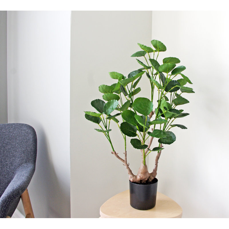 Faux Tree in Plastic Pot, 27" H x 22" W x 22" D