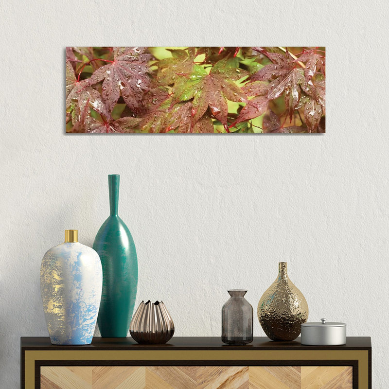 Close-Up Of Japanese Maple Leaves I - Wrapped Canvas Panoramic Print, 30.48 cm H x 91.44 cm W x 1.91 cm D