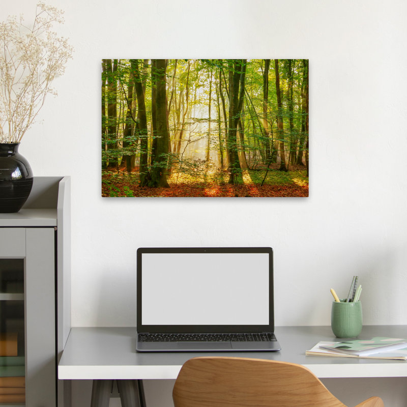 Power Beam - Paysages, photographie, arbres, art, H 16 po x l 24 po