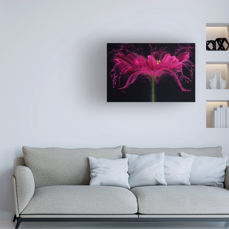 Art sur toile «ologic chaos »par bolologien Cindy Vondran, H 16 po x l 24 po