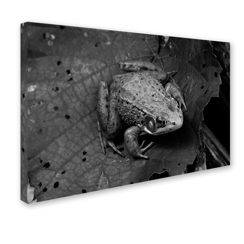 Northern Green Frog Horizontal Canvas Print with Wood Frame