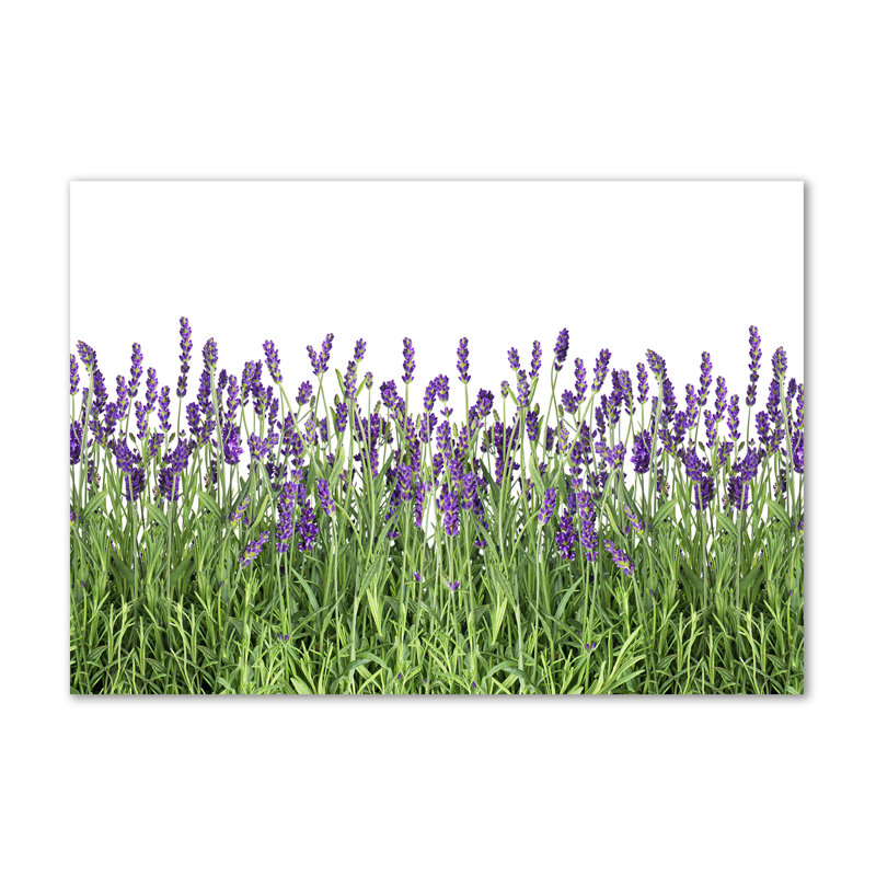 Lavender Flowers - Wrapped Canvas Print