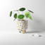 Ennis Handmade Planter