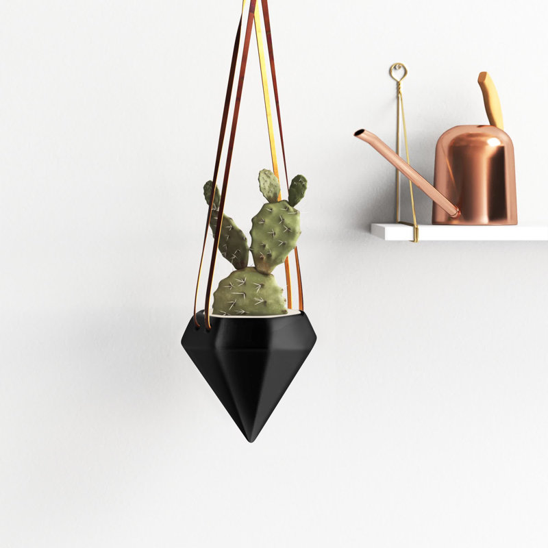 Guilford Ceramic Hanging Planter, Black