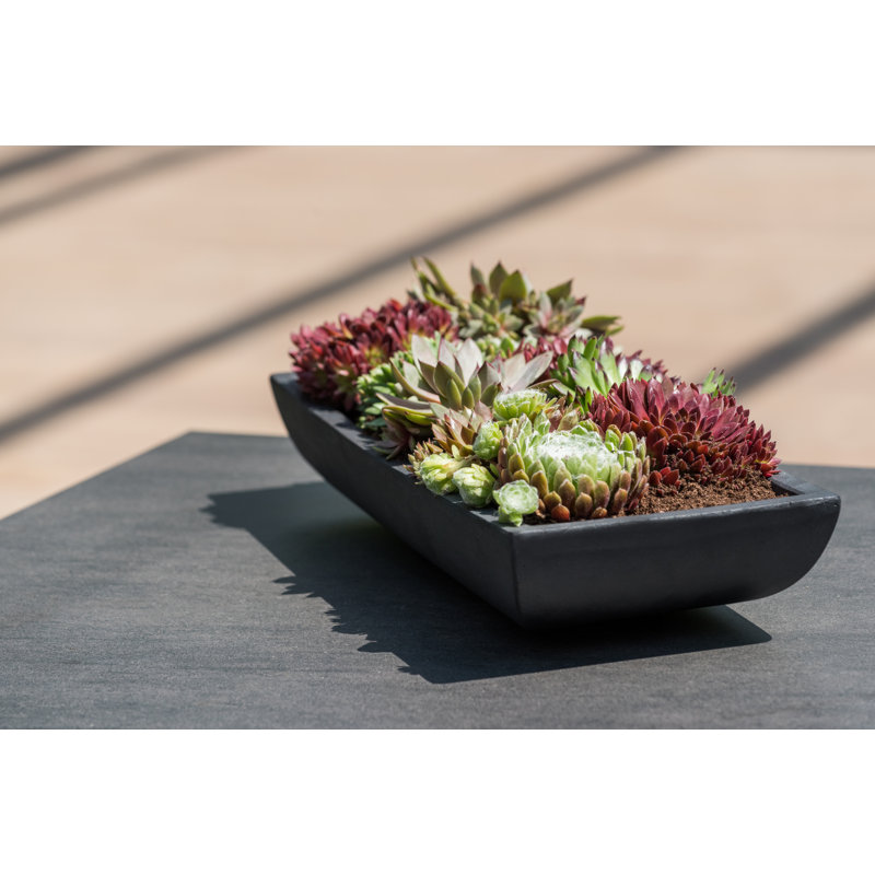 Minimalist Pots Handmade Fiberstone Planter, 3" H x 19.5" W x 7.5" D