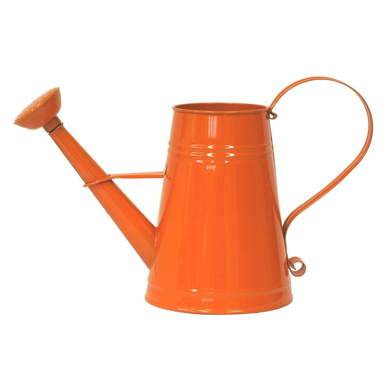 Vase d'arrosage en acier galvanisé émaillé 1 gallon, Tangerine
