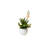 Agave Succulent Arrangement in White Ceramic Sphere
