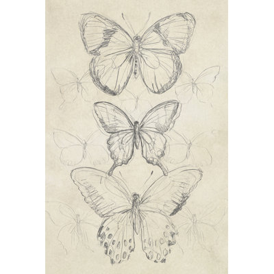 "Vintage Butterfly Sketch I" by June Erica Vess Vintage Entomology Graphic Art