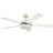 Pointsettia 52'' Ceiling Fan-1131303560-1131303463