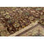 Wool Oriental Area Rug in Brown