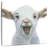 Brampt My Farm Friends I-109372825