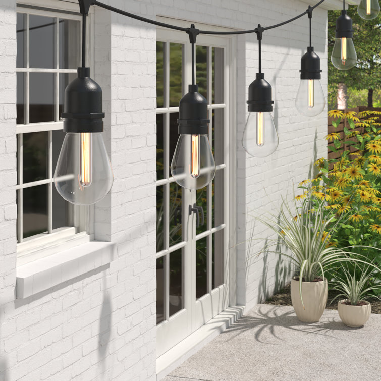 Wayfair Basics® 48' Outdoor 15 Bulb Standard String Light  Reviews  Wayfair Canada