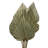 Erkson Preserved Palm Spear Stems