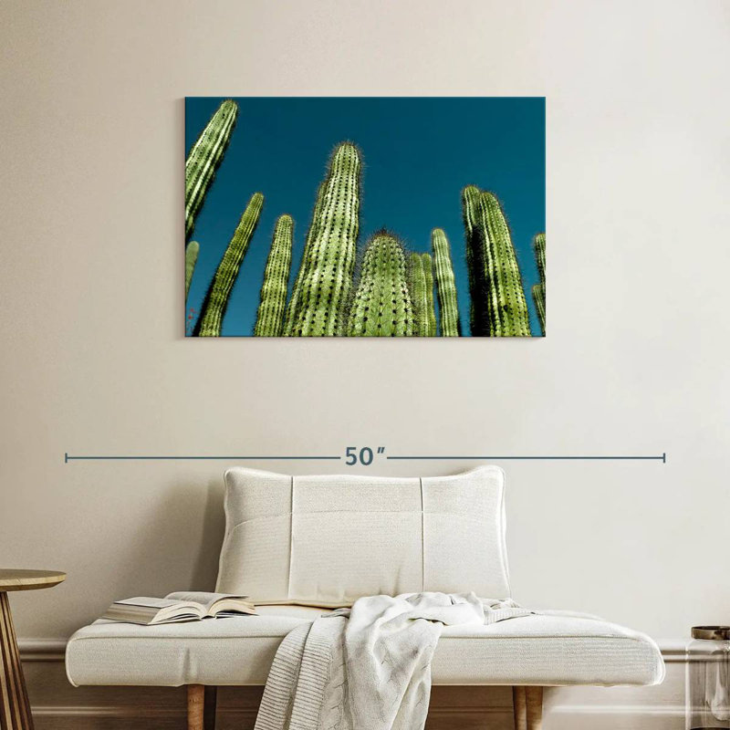 Cactus bleu ciel Harnek, H 24 po x l 36 po