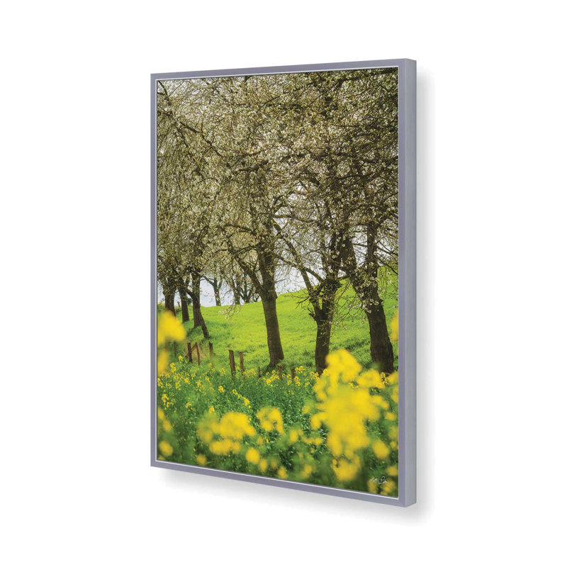 «Spring in Bloom» par Martin Podt, reproduction d'art, Argent, L 32 po x H 48 po, Impression encadrée