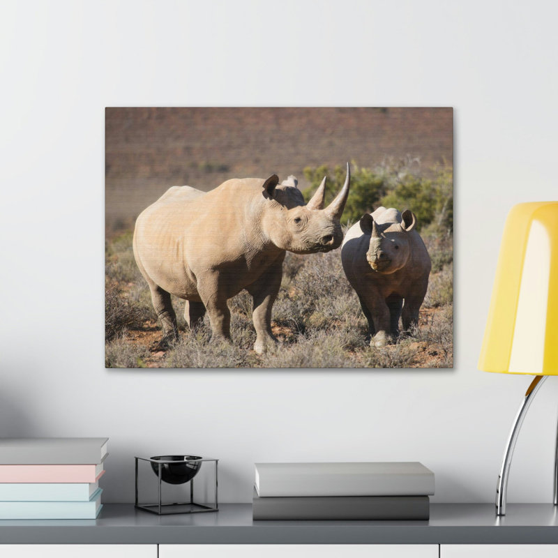 «Black Rhino Couple», impression d'art mural, H 18 po x l 24 po