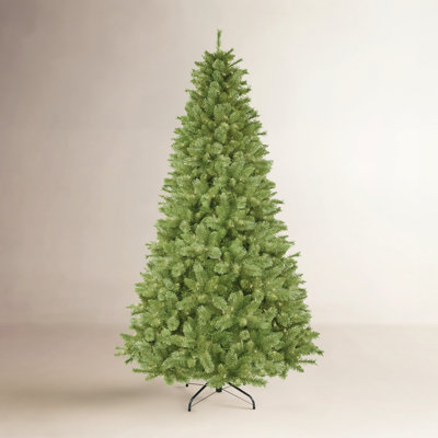 7.5' Pre-Lit Canterbury Fir Artificial Christmas Tree