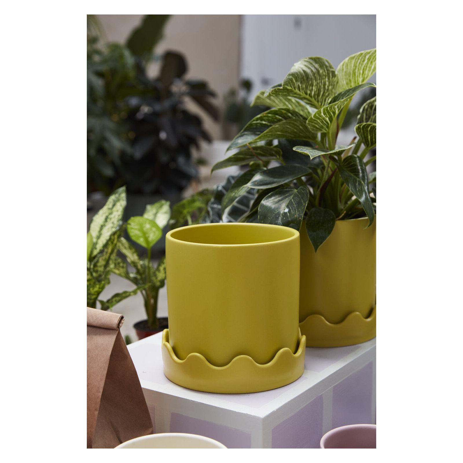 Winterview Pot with Saucer 7.5"x 7.25", Yellow, 7.25" H x 7.5" W x 7.5" D