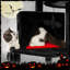 Arbre à chat multi-niveaux avec condos Evannah H 59 po H - noir et rouge