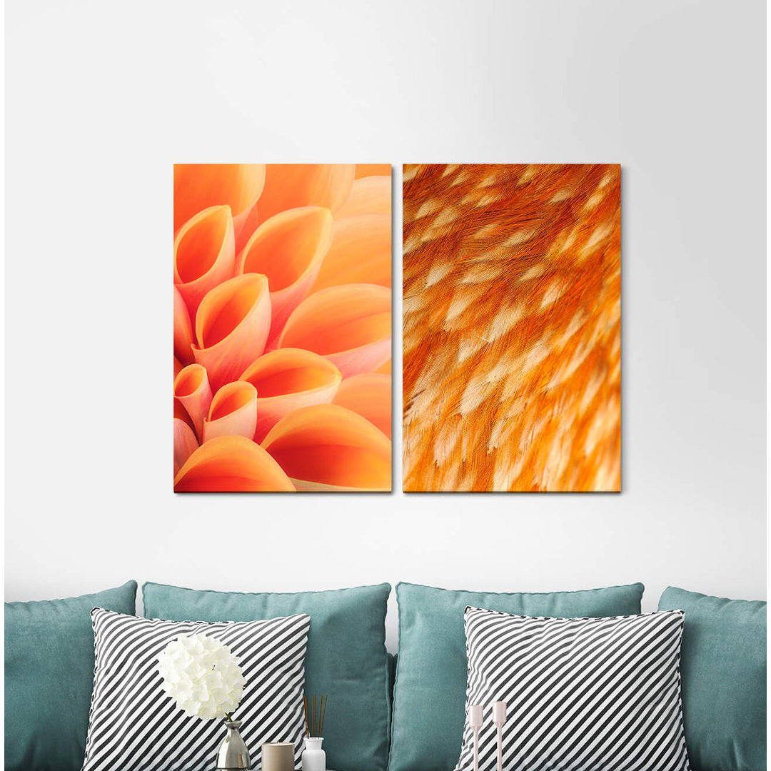 2-tlg. Leinwandbilder-Set - Fotografie „Flower Blossom Plumage Orange Warmth Soft”